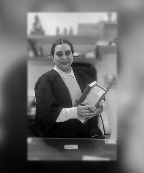 Expert Divorce Lawyer